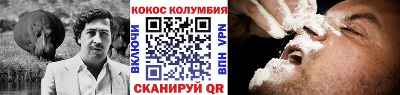 дарк нет состав  купить  цена  Высоковск  COCAIN FishScale 