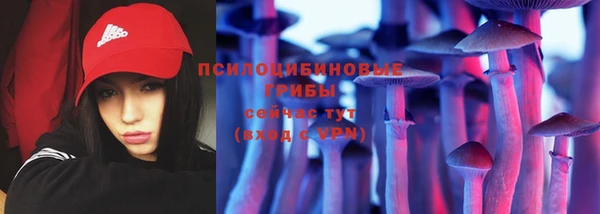 скорость Белокуриха