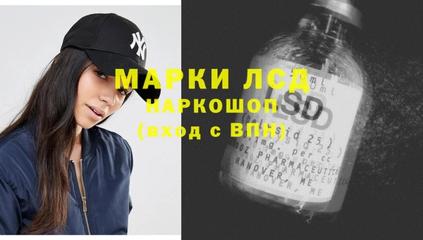 сатива Сосновый Бор